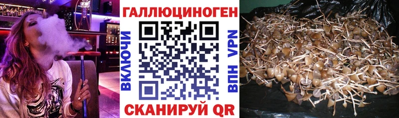Галлюциногенные грибы мицелий  Керчь 