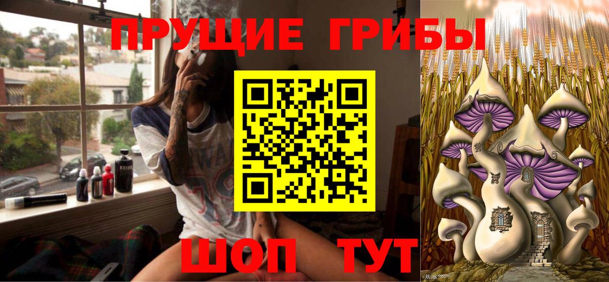 Галлюциногенные грибы Psilocybine cubensis Керчь
